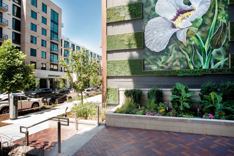 Cherry Creek neighborhood